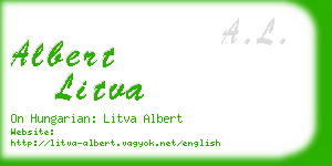 albert litva business card